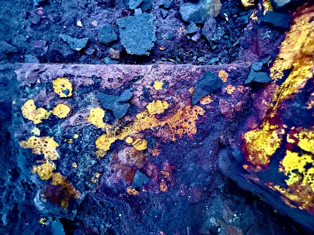 Golden Veins in the Dark: A Textured Exploration of Nature's Palette