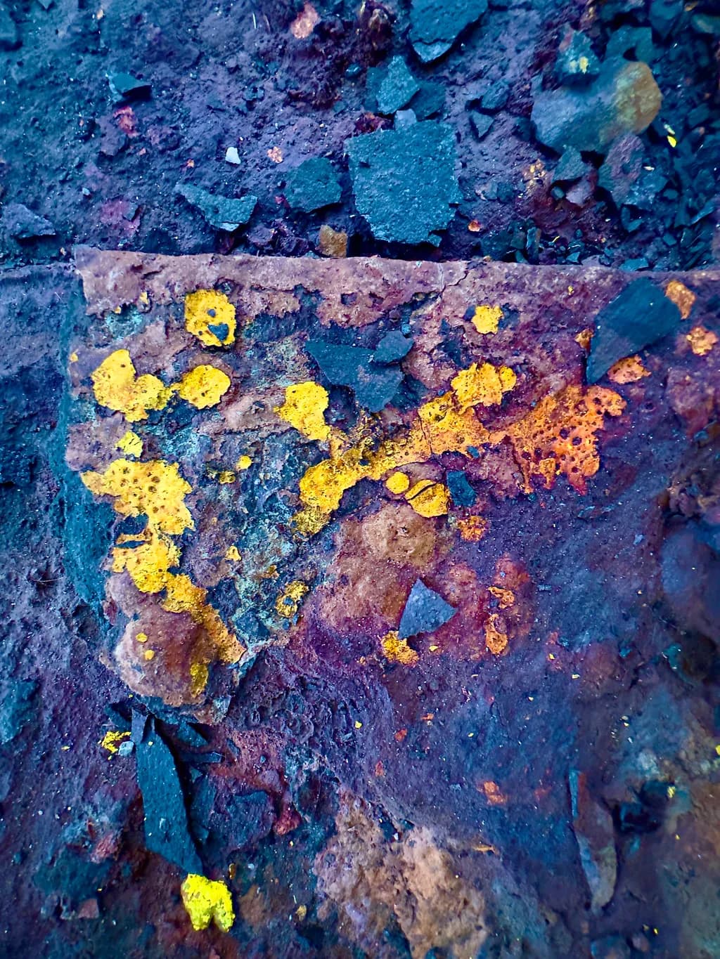 Vibrant Textures: A Dance of Color and Earthy Elements