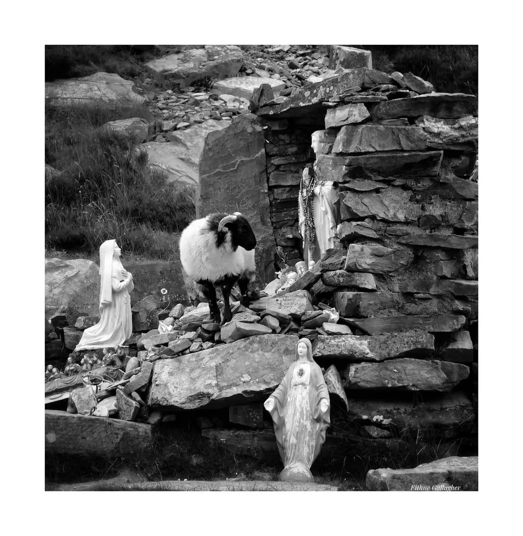 Whispers of Faith: A Black and White Encounter with Nature and Devotion