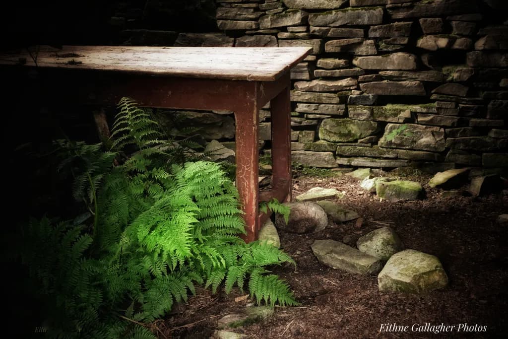 Rustic Table and Ferns