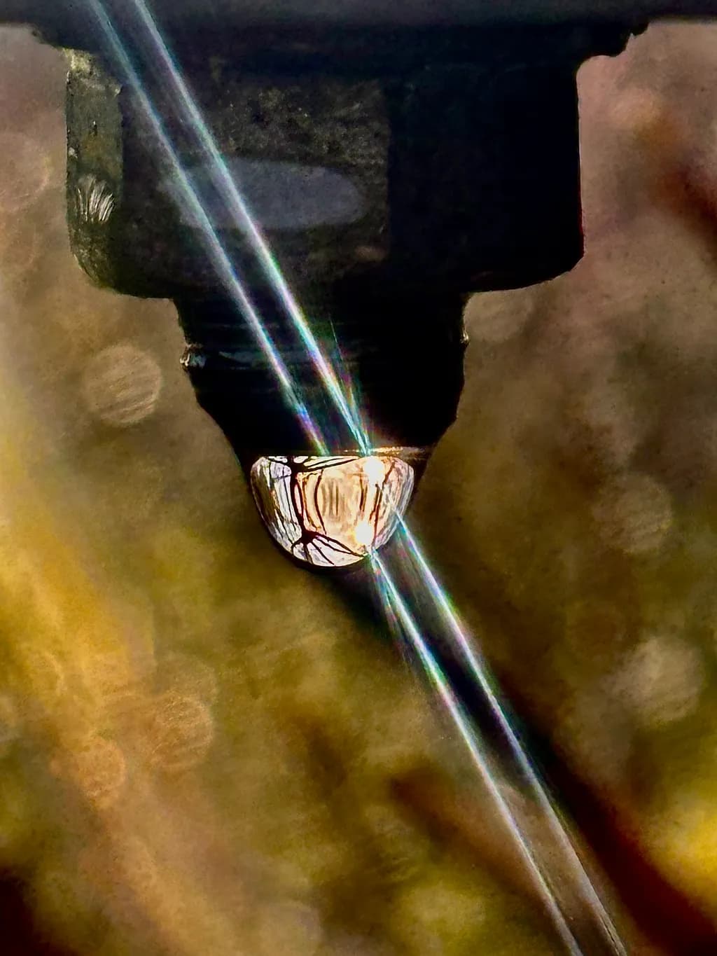 Droplet Reflections