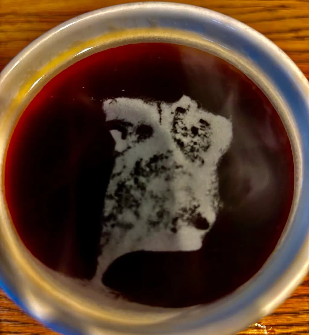 Coffee Reflection