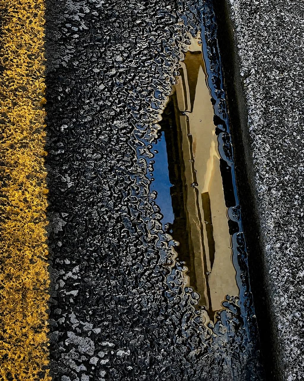 Urban Reflection