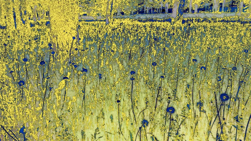 Vibrant Harmony: An Abstract Dance of Nature's Flowers in Bold Contrast and Texture