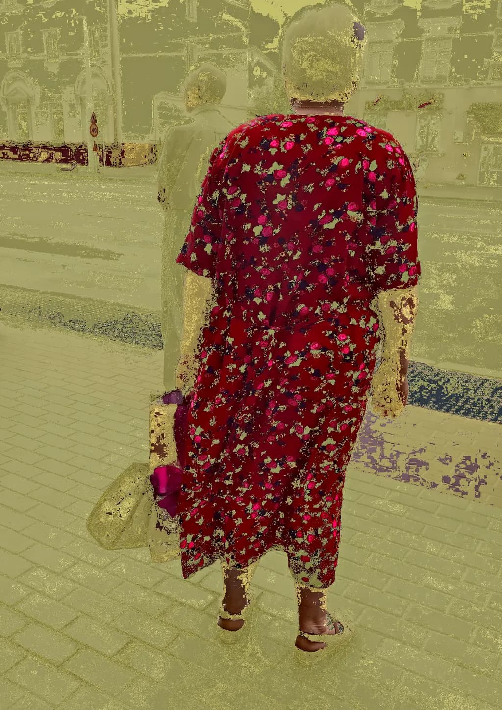 Whispers of Color: A Floral Journey Through Time