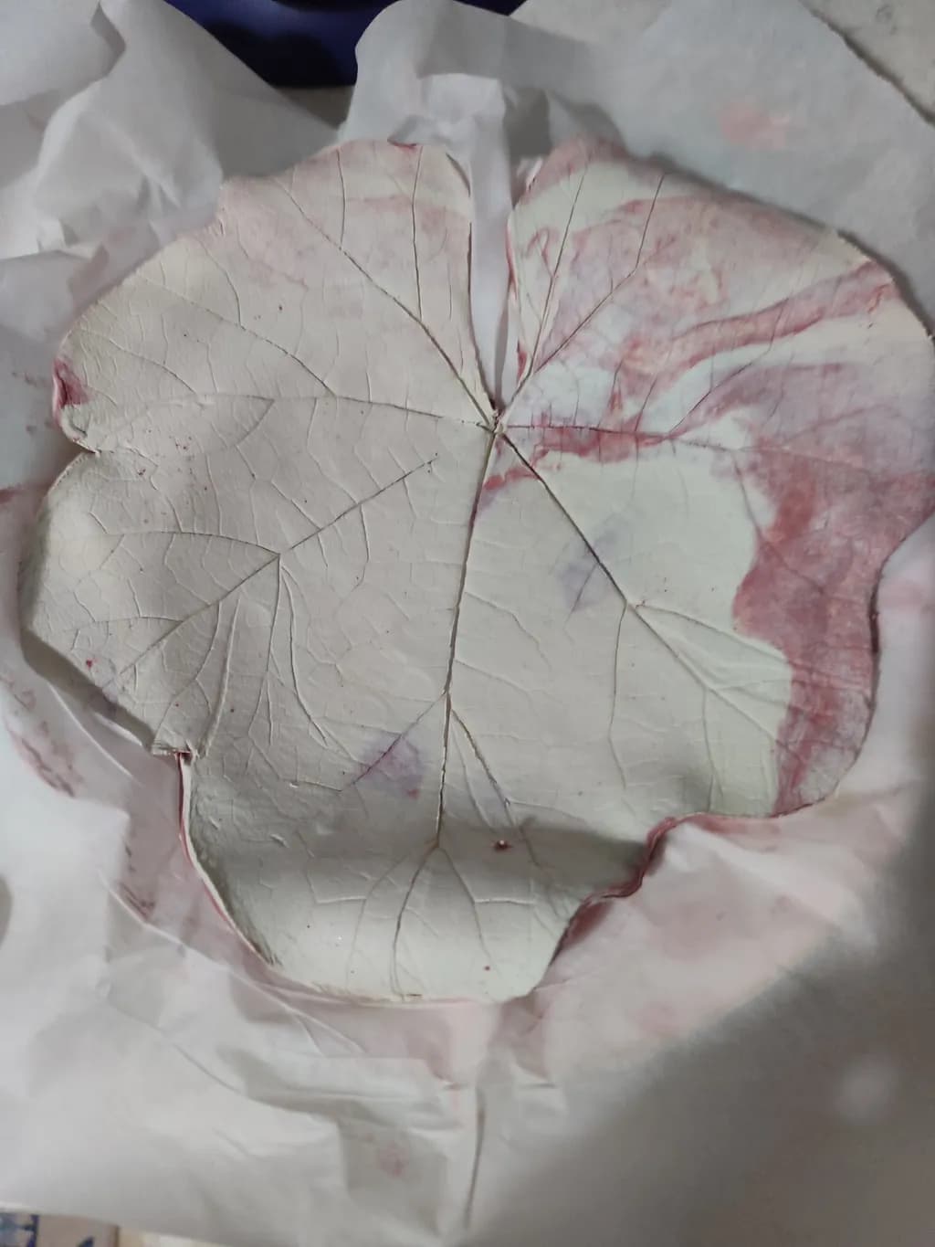 Whispers of Nature: A Textured Leaf in White and Pink Elegance