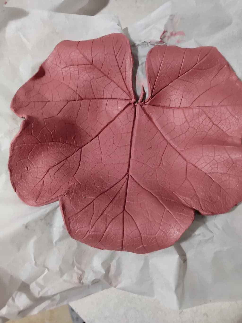 Whispers of Nature: A Delicate Pink Leaf Imprint in Clay