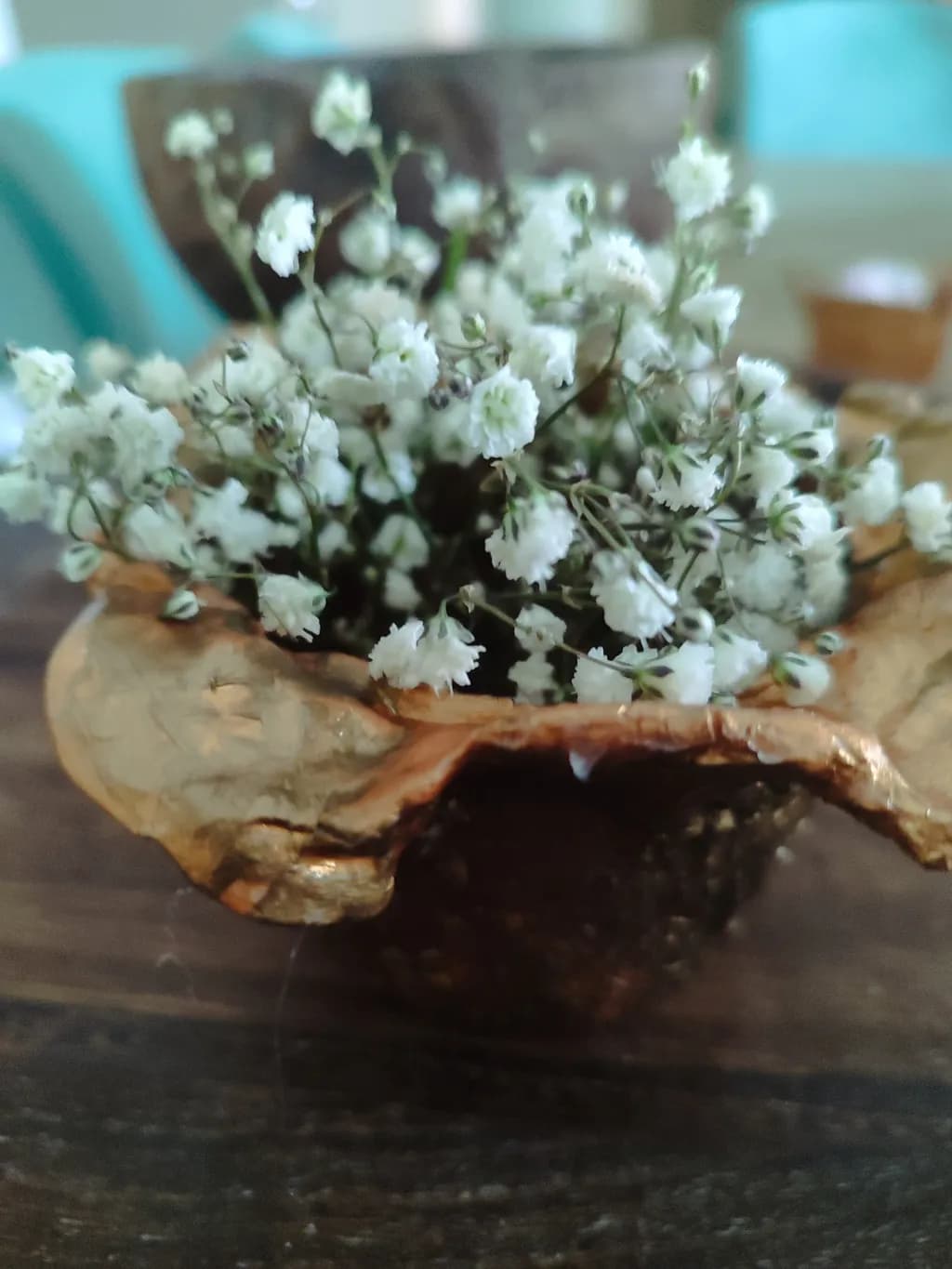 Whispers of Nature: Delicate White Blooms in a Golden Embrace
