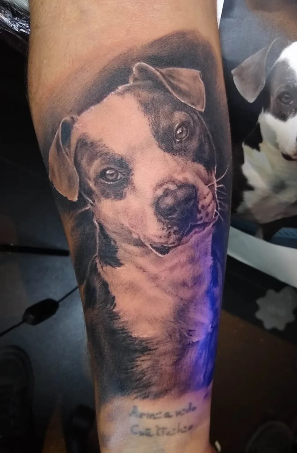 Whiskered Whimsy: A Lifelike Tribute to Canine Companionship