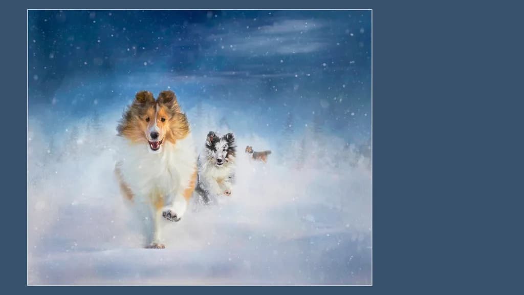Snow Day