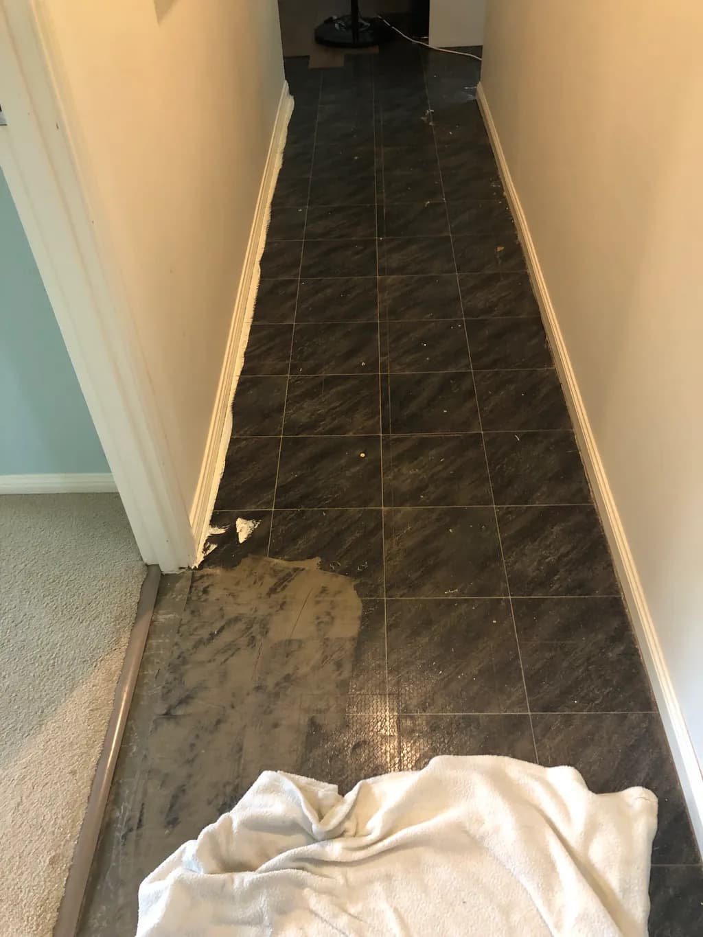 Reflections of Renewal: A Journey Through the Hallway of Transformation