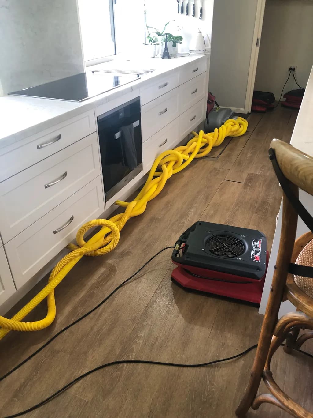 "Vibrant Yellow Hoses: A Kitchen's Unexpected Artistry in Restoration"