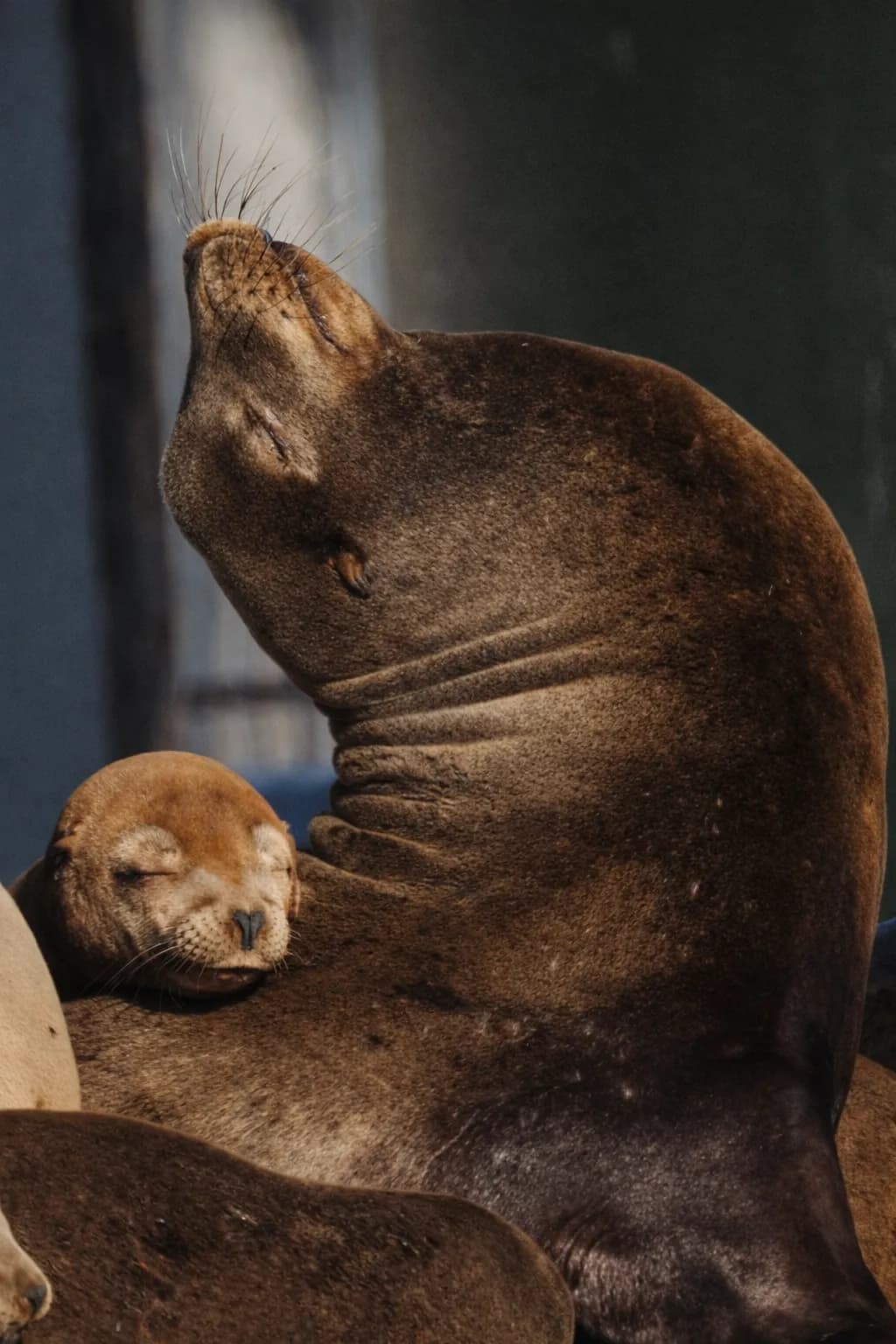 Motherly Embrace