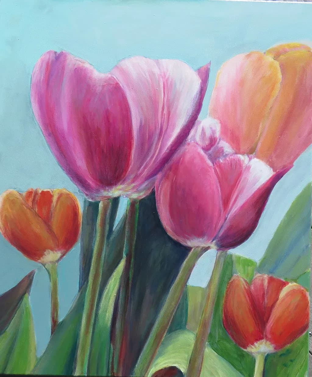 Vibrant Tulip Symphony: A Colorful Celebration of Nature's Beauty