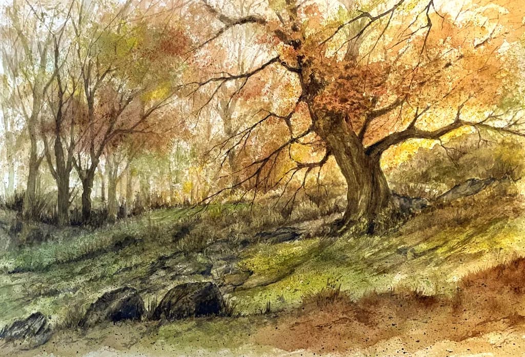 Late Autumn Woodland