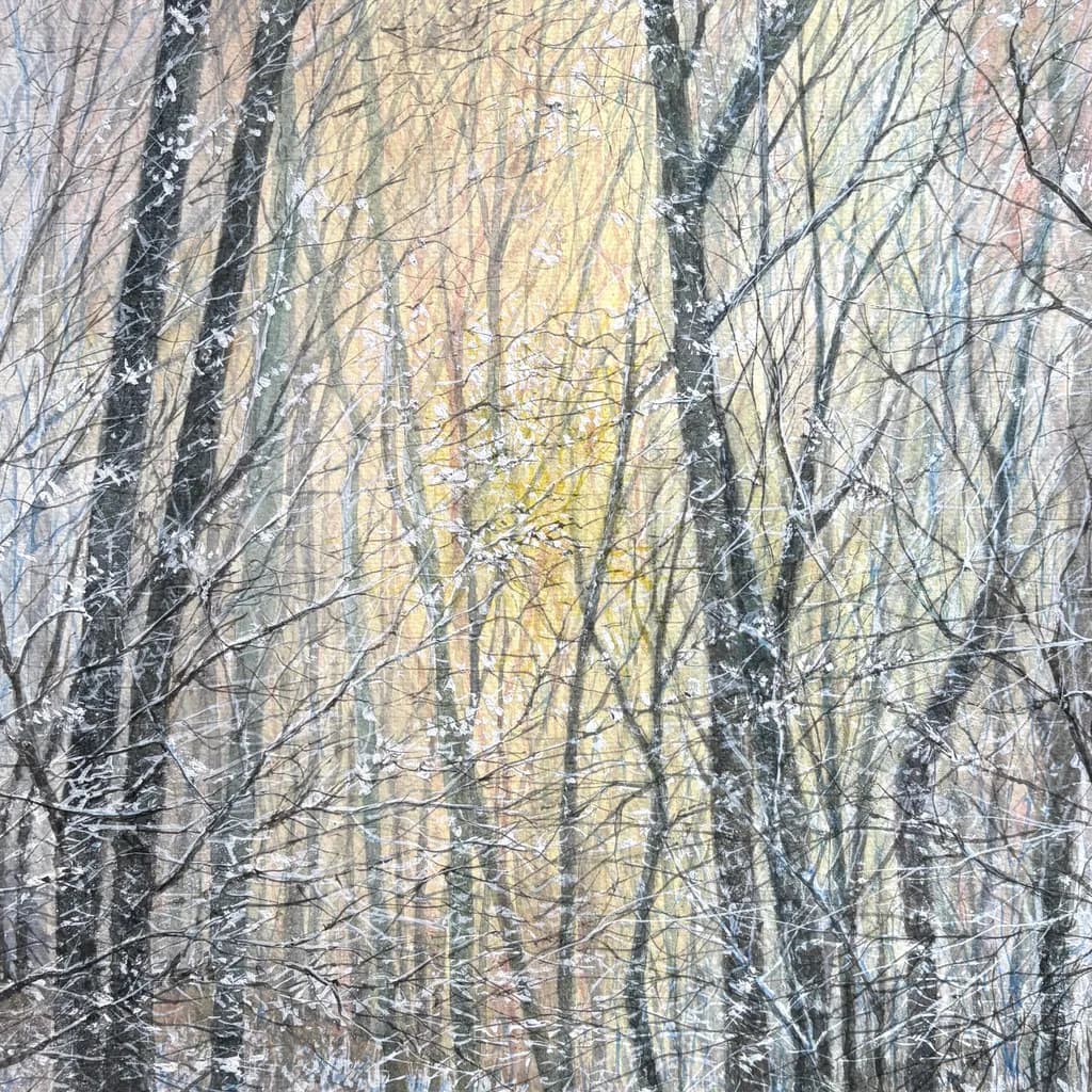 Cold Morning Glow