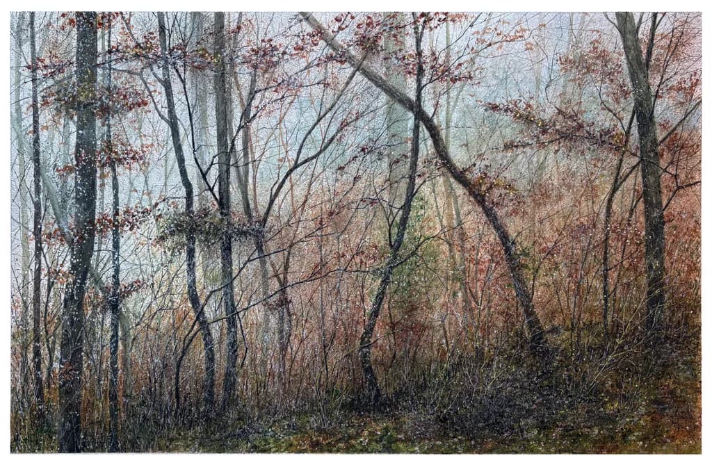 Edge of the Wood