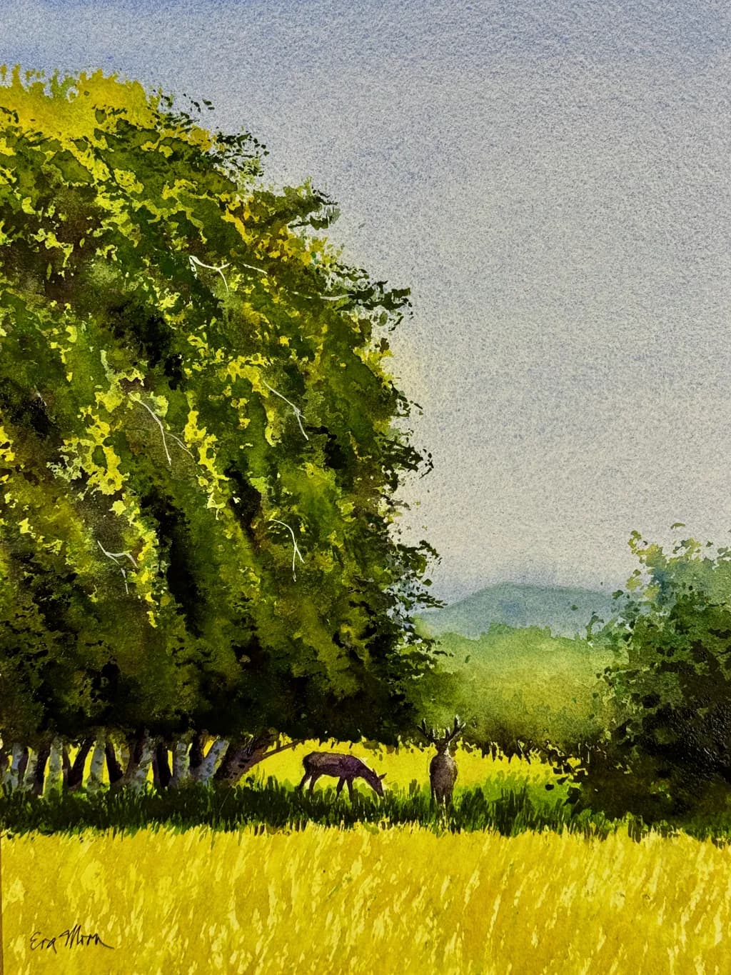 Elk Field