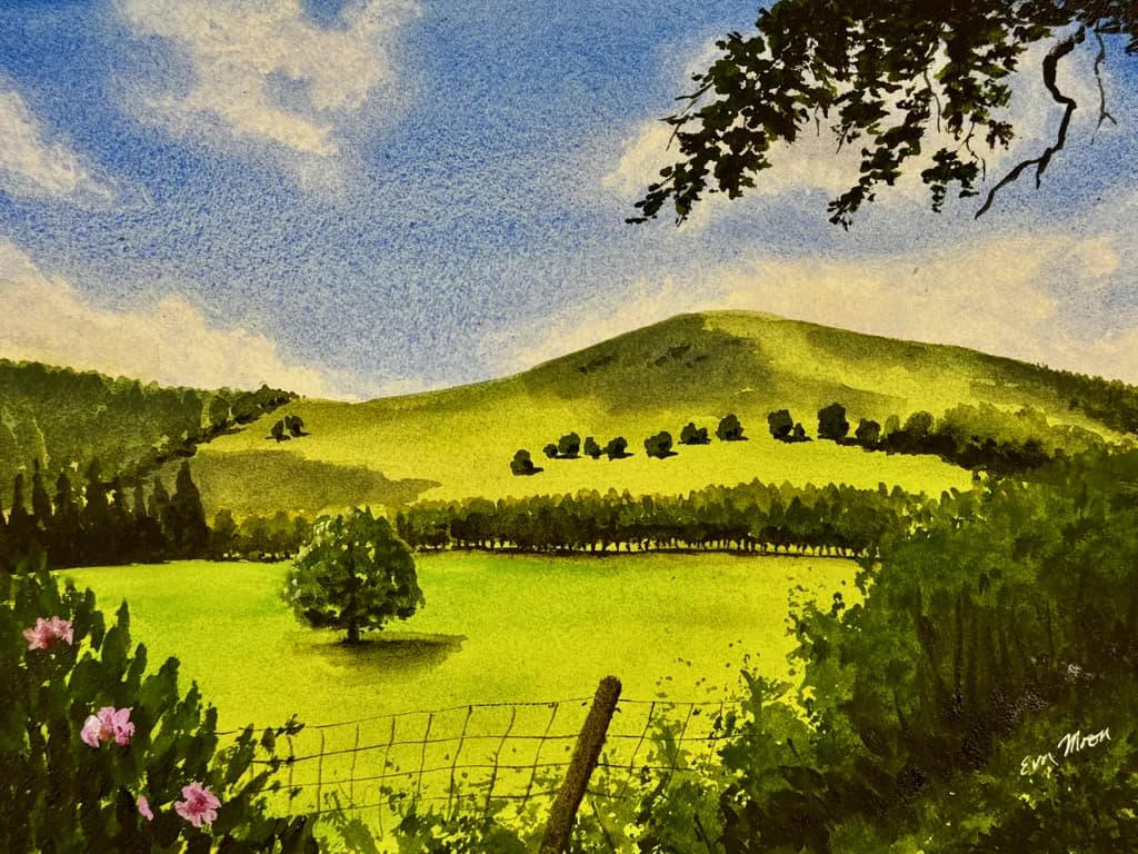 Castle Grounds