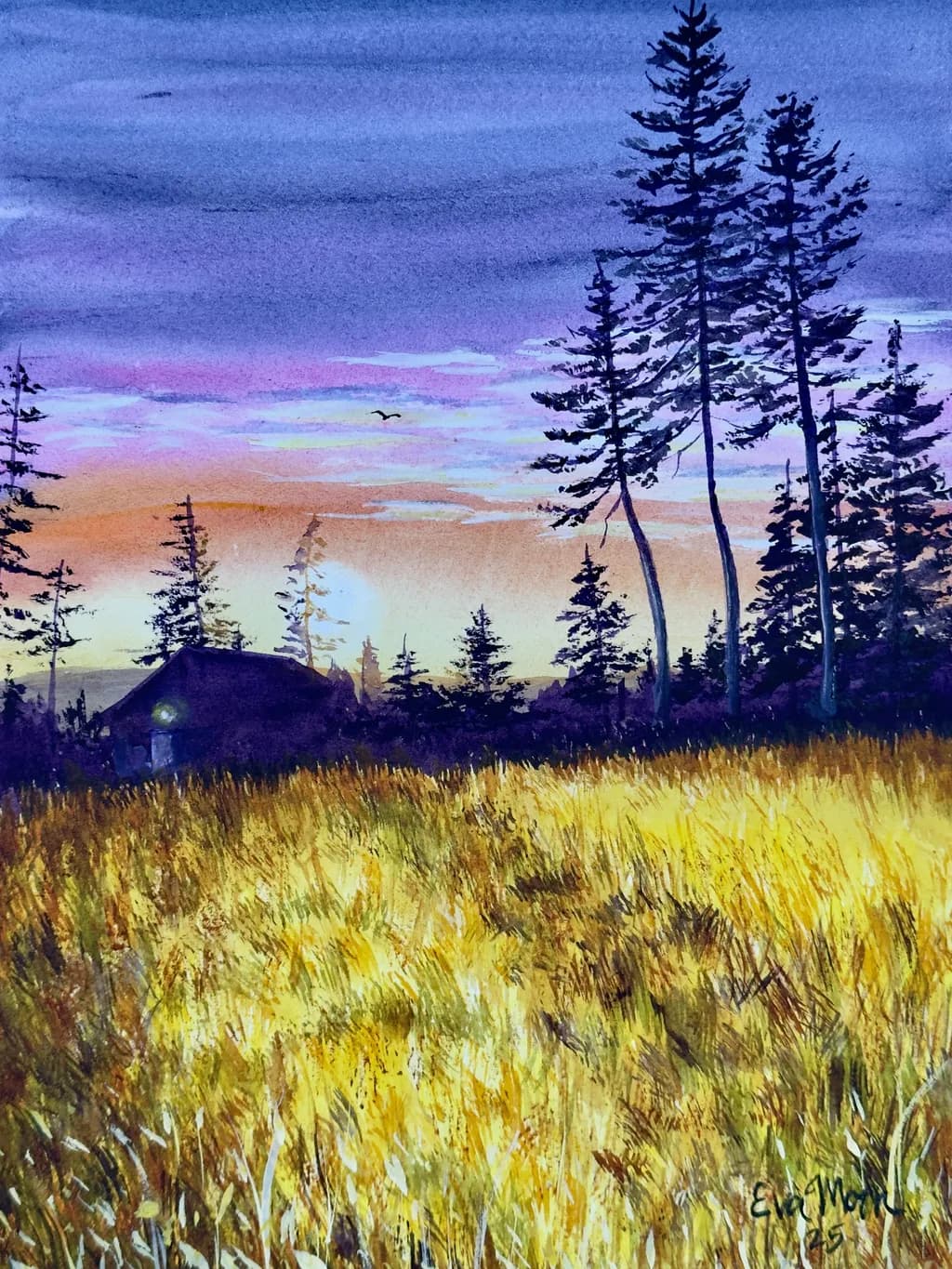 Evening Light
