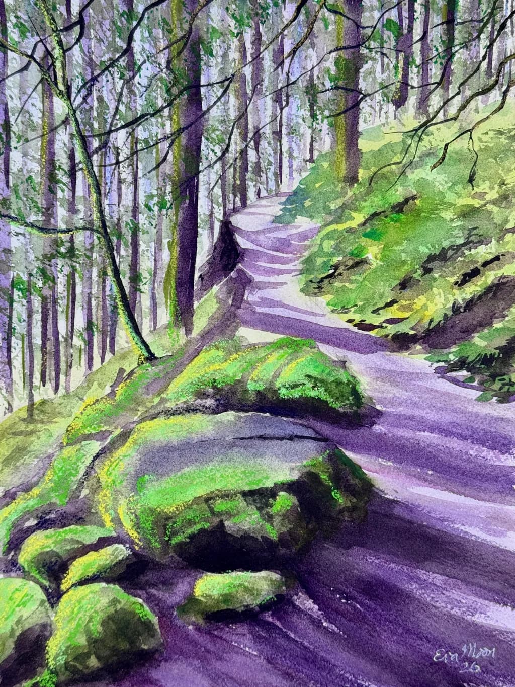 Rattlesnake Trail Path