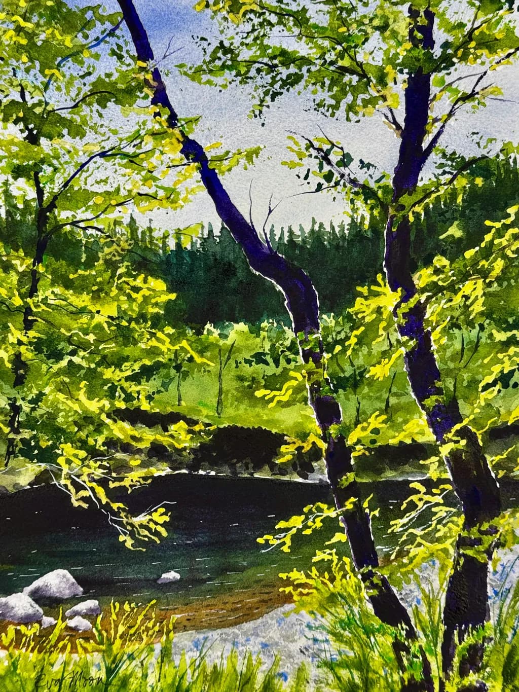 River Approach