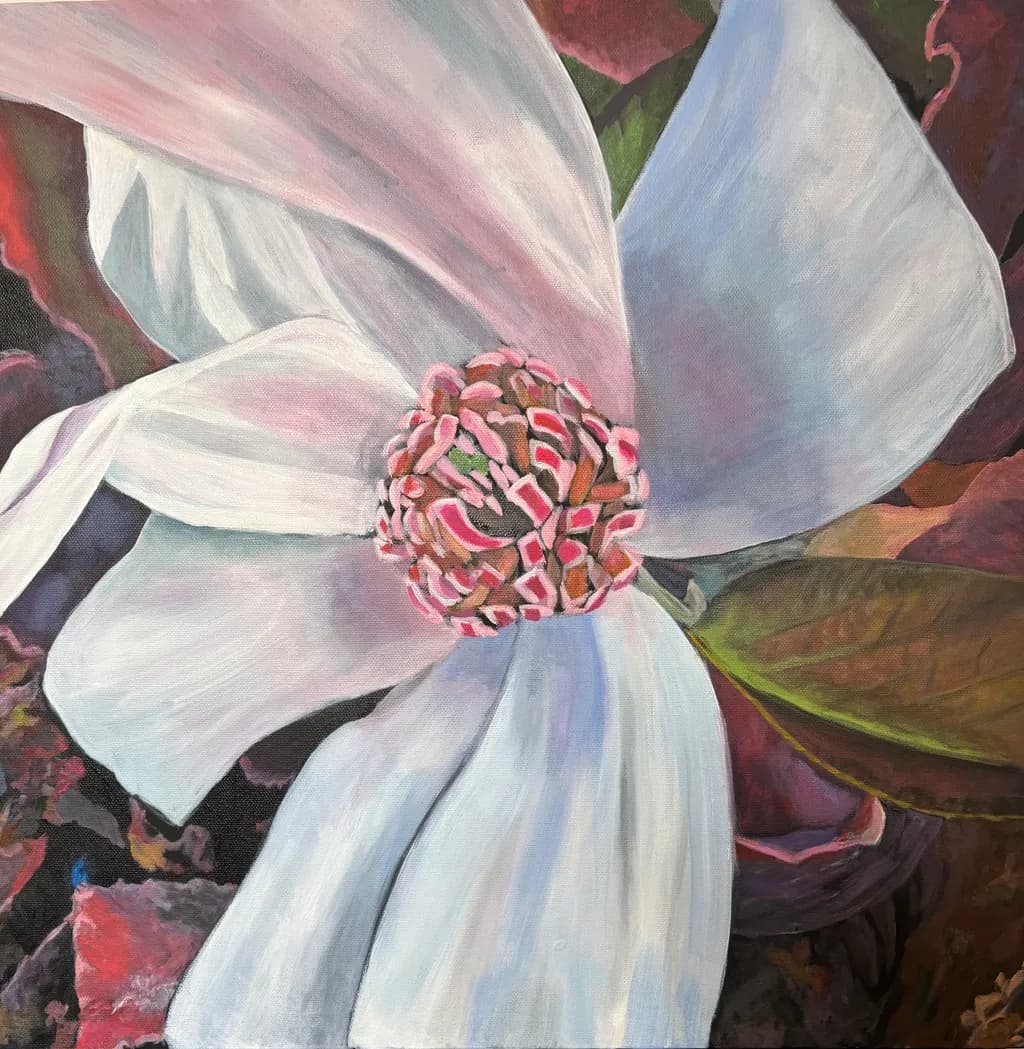 Whispers of Spring: A Close-Up of a Magnificent Magnolia Blossom