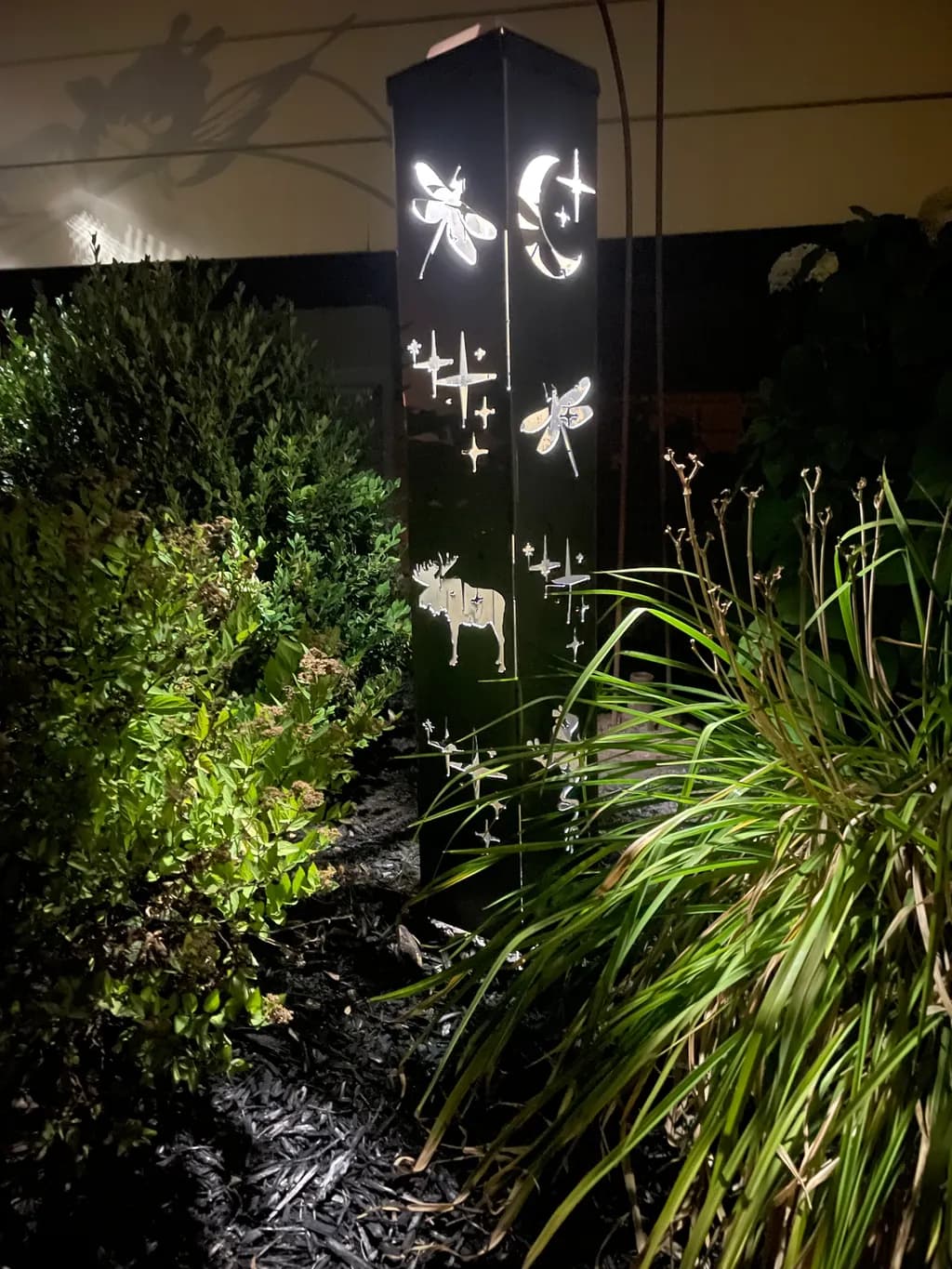 Illuminated Nightscape: A Dance of Shadows and Light in Nature's Embrace