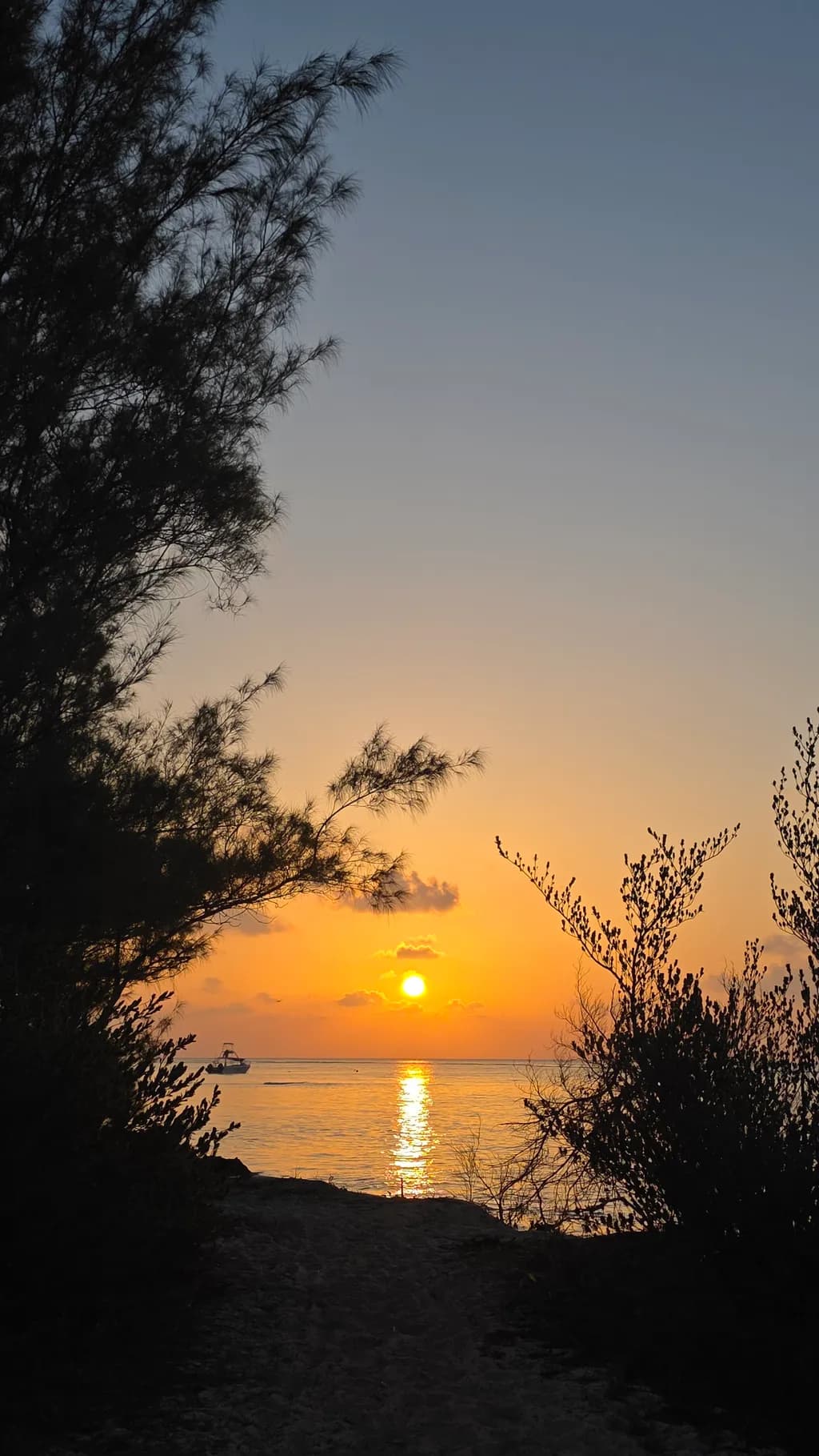 Framed Coastal Sunset