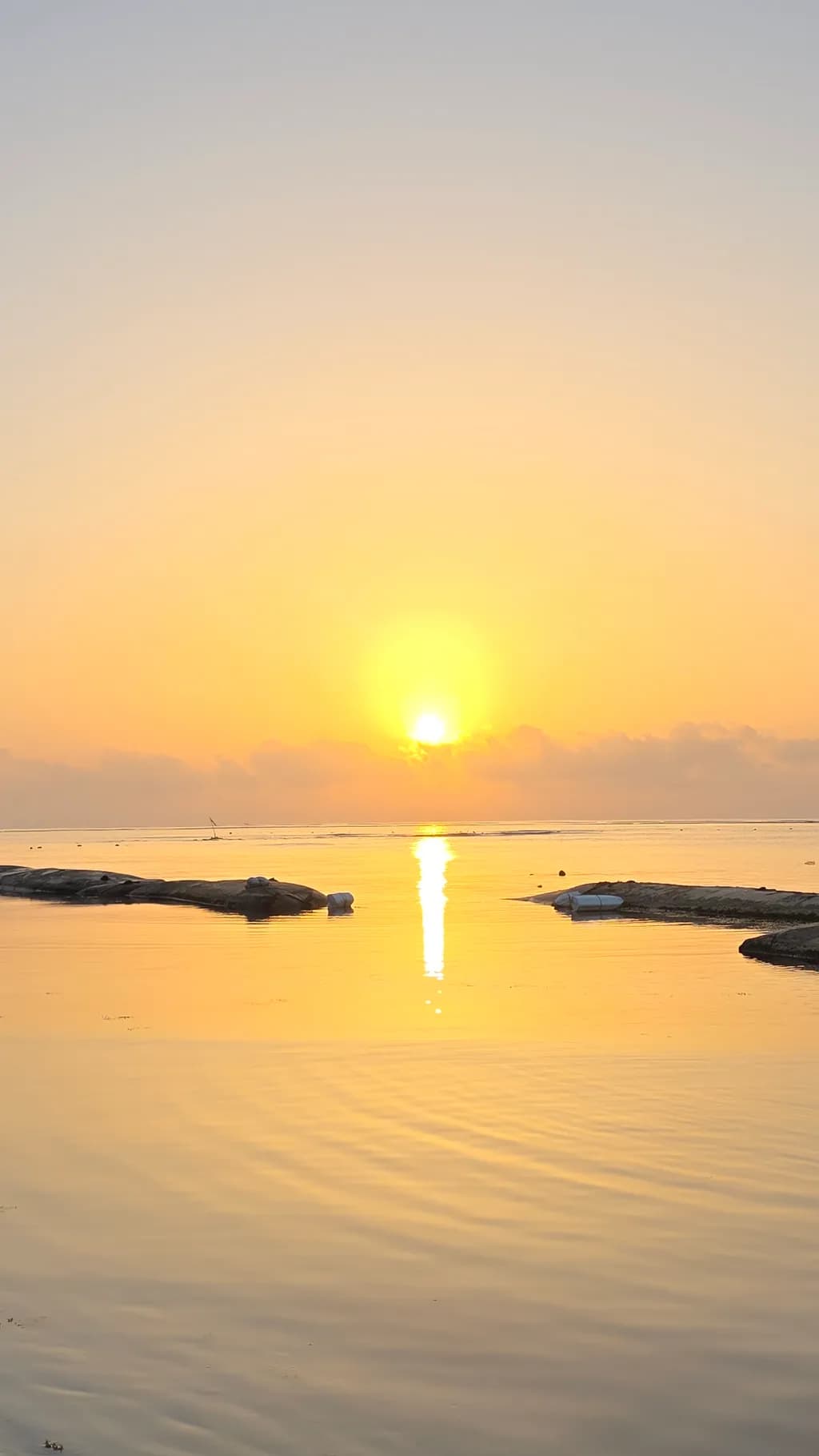 Golden Coastal Reflection