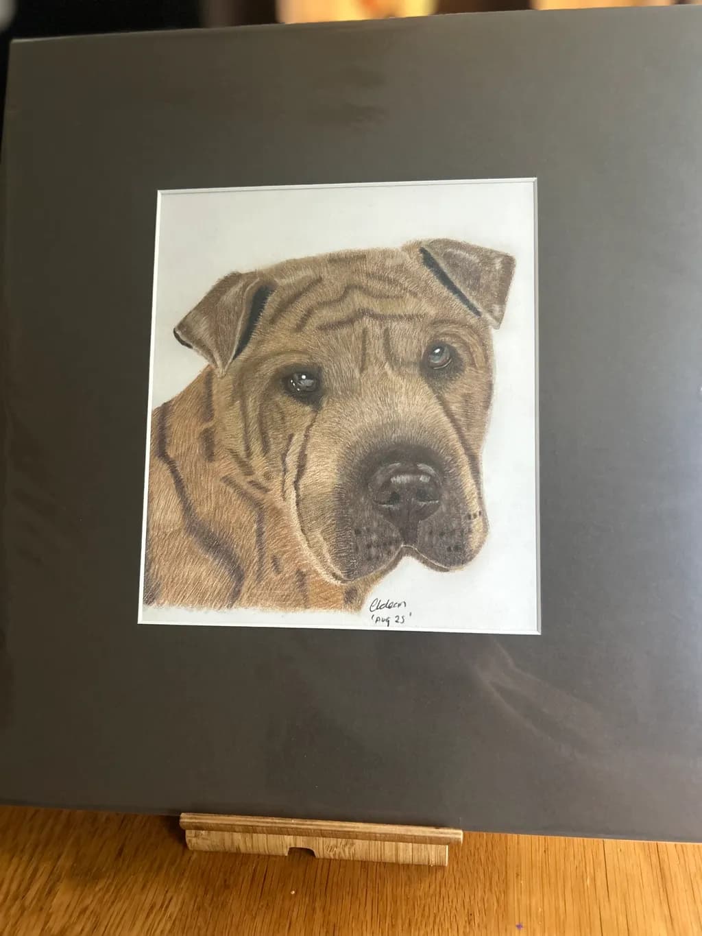 Whiskered Wisdom: A Realistic Portrait of a Shar Pei