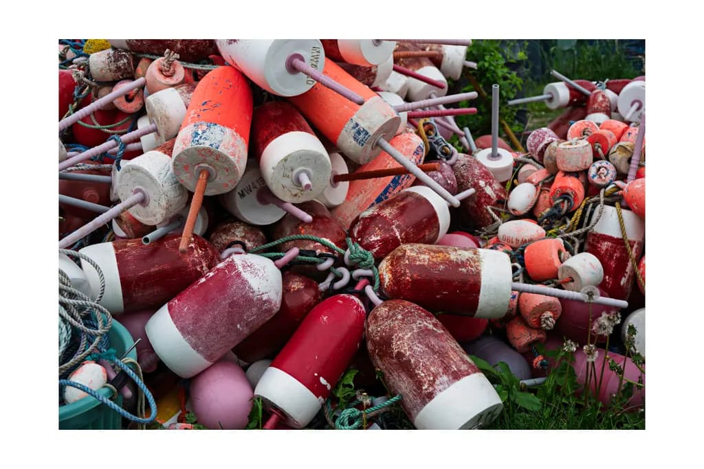 Colorful Chaos: A Tangle of Buoys in Nature's Embrace