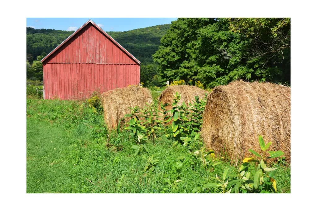 Rustic Harmony: A Serene Farm Scene with Red Barn and Hay Bales