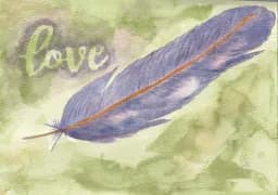 Feathered Love
