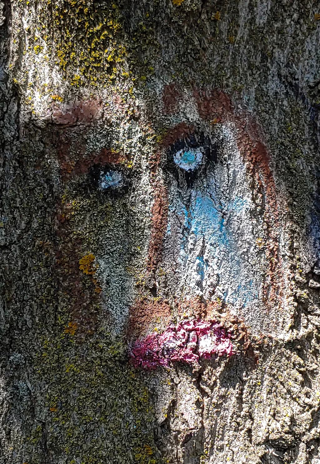 Tree Portrait