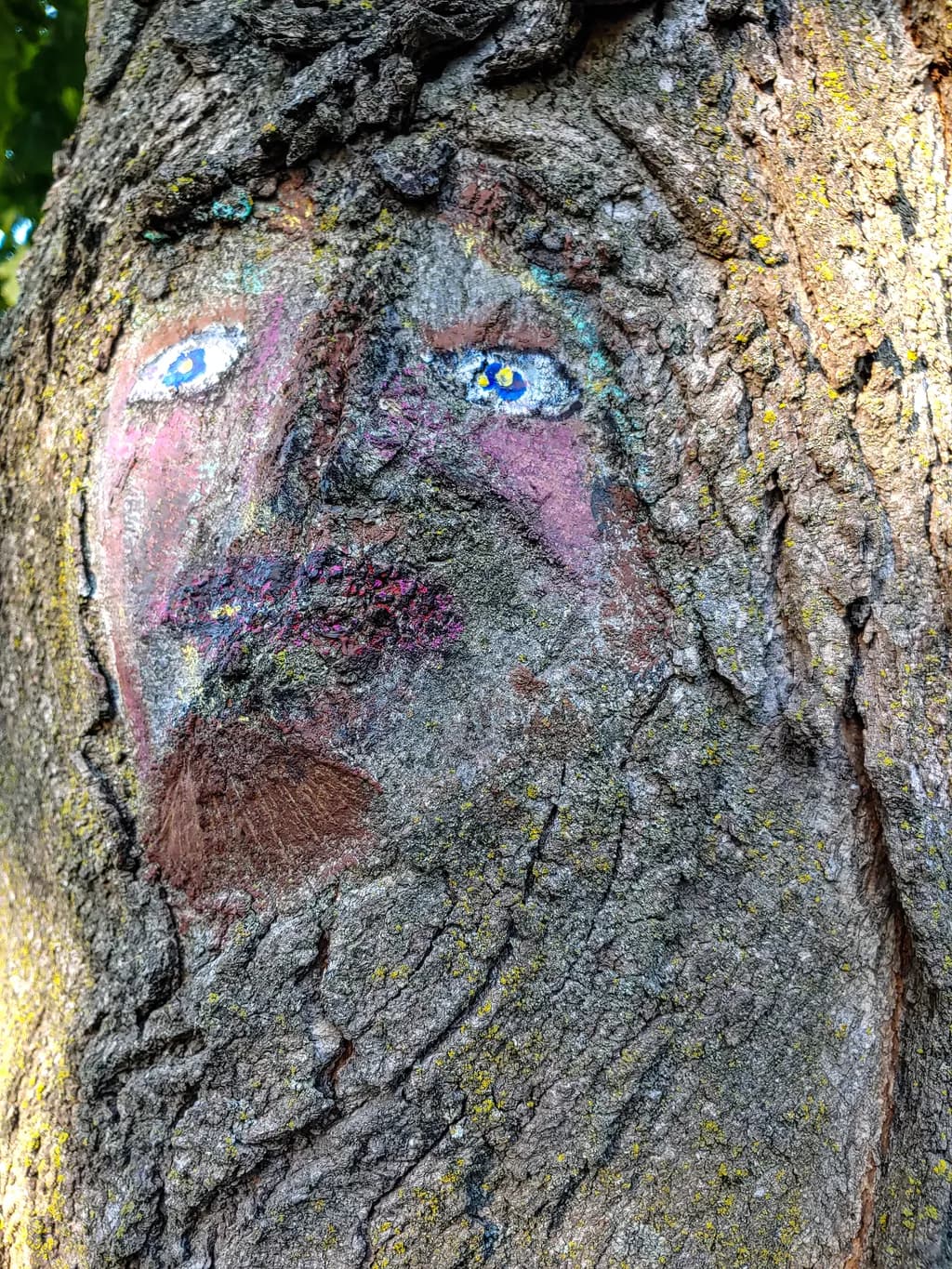 Tree Face