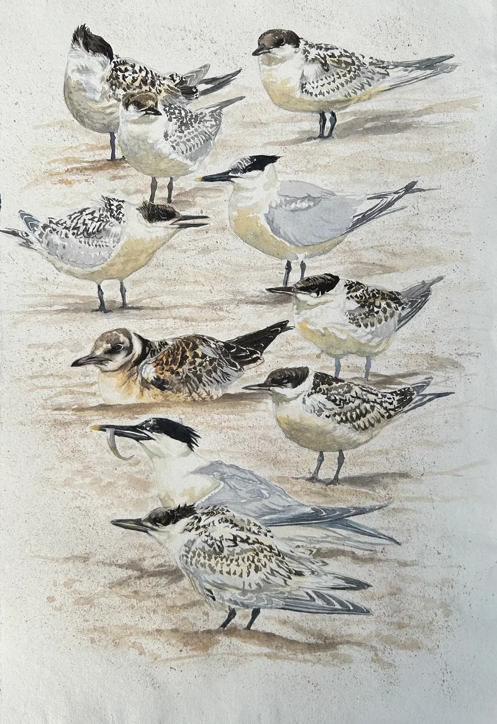 Whispers of the Shoreline: A Watercolor Gathering of Resilient Birds