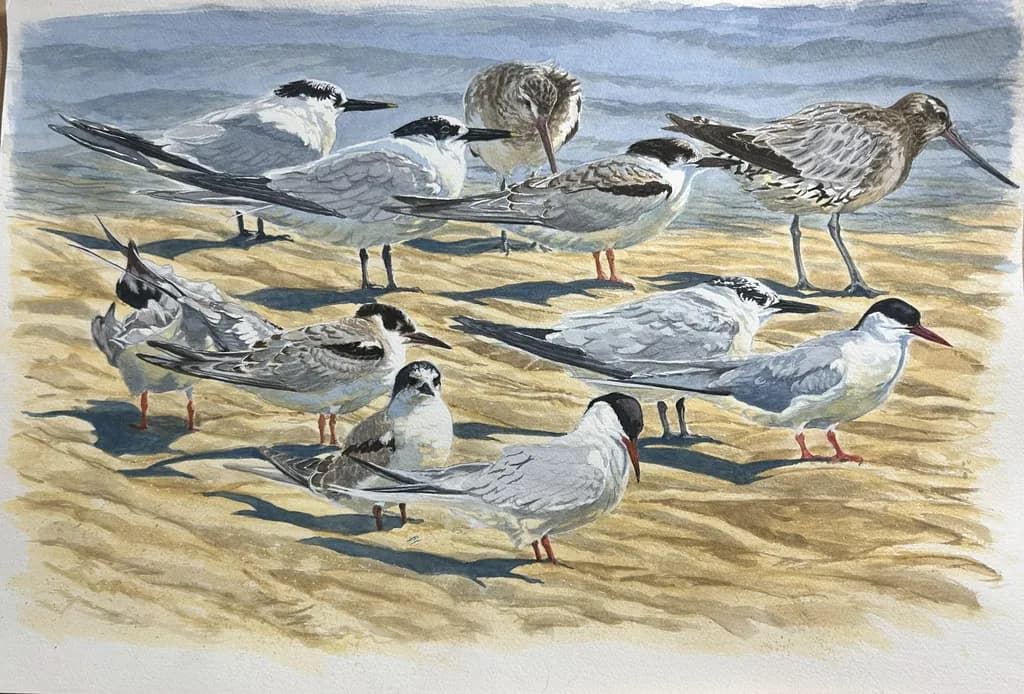 Whispers of the Shore: A Gathering of Resilient Shorebirds in Soft Light