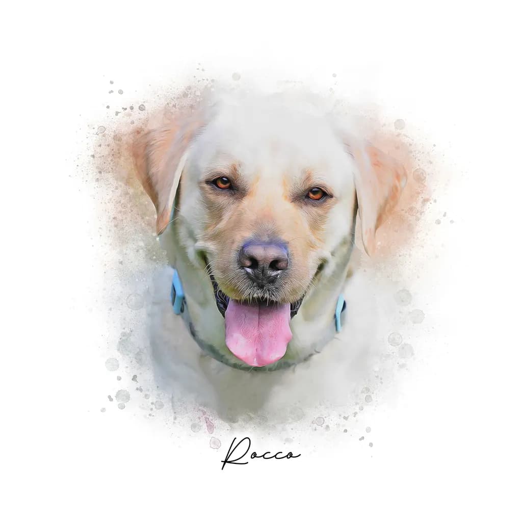 Joyful Rocco: A Playful Portrait of an Adorable Dog