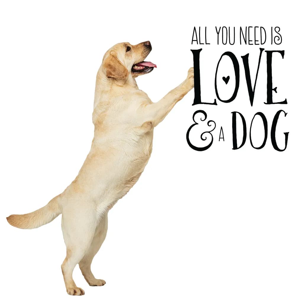 All You Need is Love and a Dog: A Heartwarming Tribute to Canine Companionship