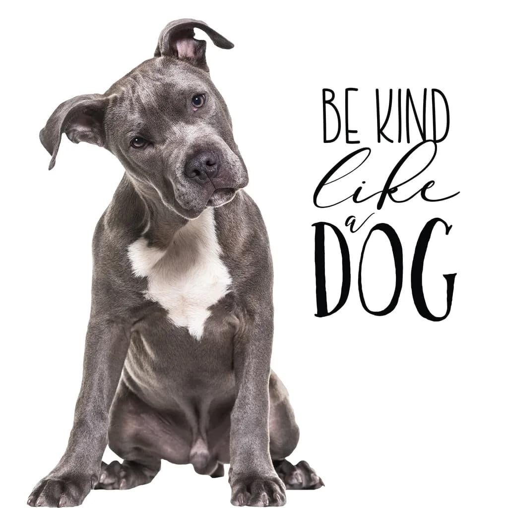 Be Kind Like a Dog: A Heartwarming Reminder of Unconditional Love and Loyalty