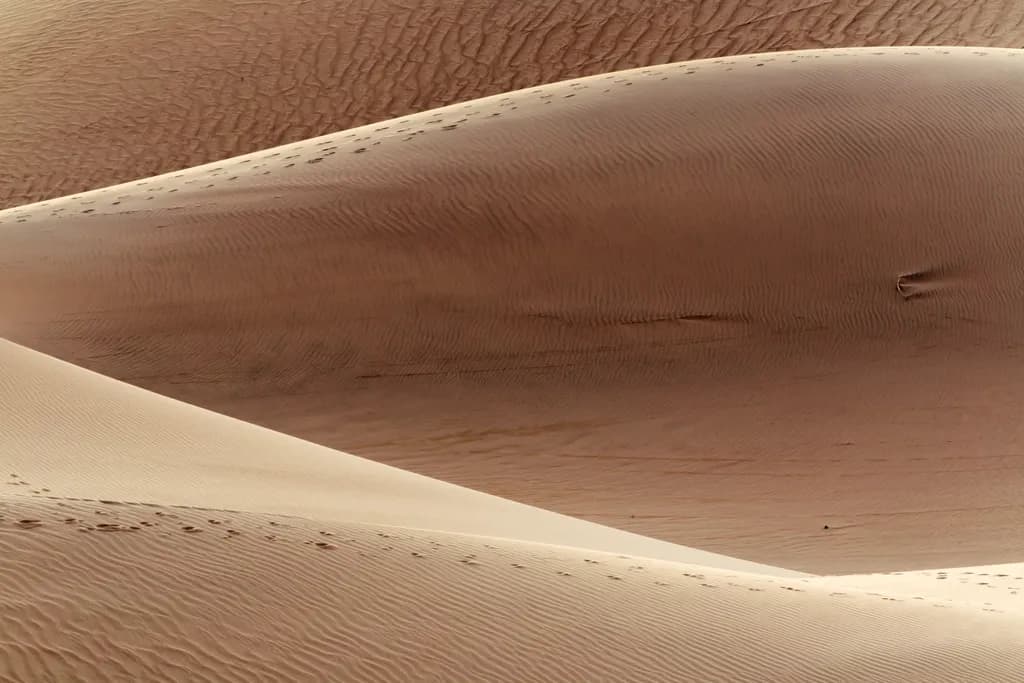 Whispers of the Desert: Curves and Patterns in Sand Dunes