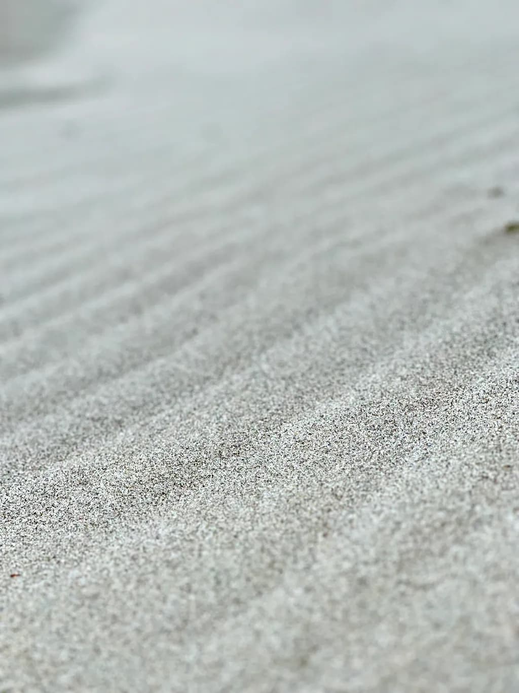Granular Texture
