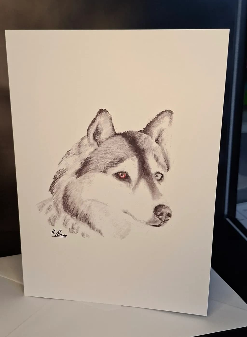 Husky Gaze