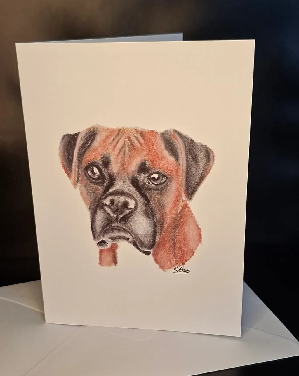 Boxer Gaze