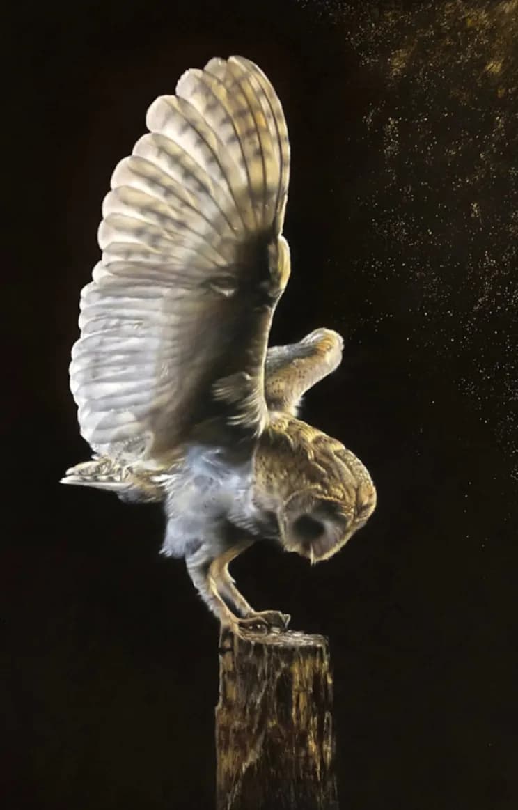 Whispers of the Night: A Majestic Owl in Flight