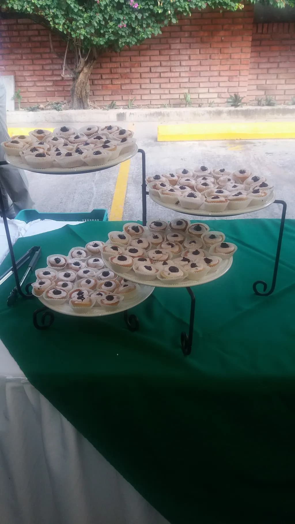Delightful Pastry Display: A Sweet Symphony of Treats for Every Event