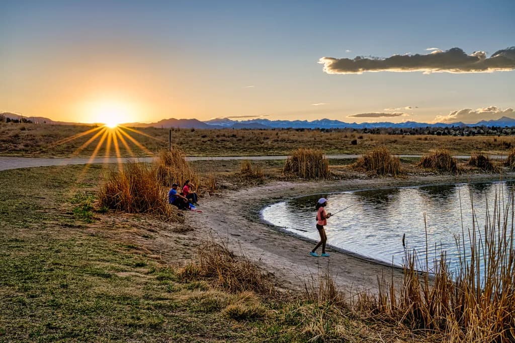 Sunset Fishing