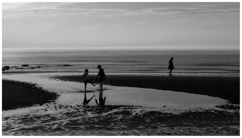 Tidal Reflections