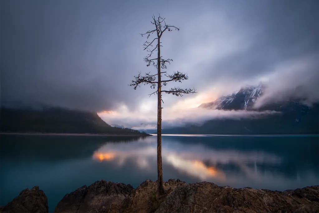 Whispers of Serenity: A Misty Reflection in Nature's Embrace
